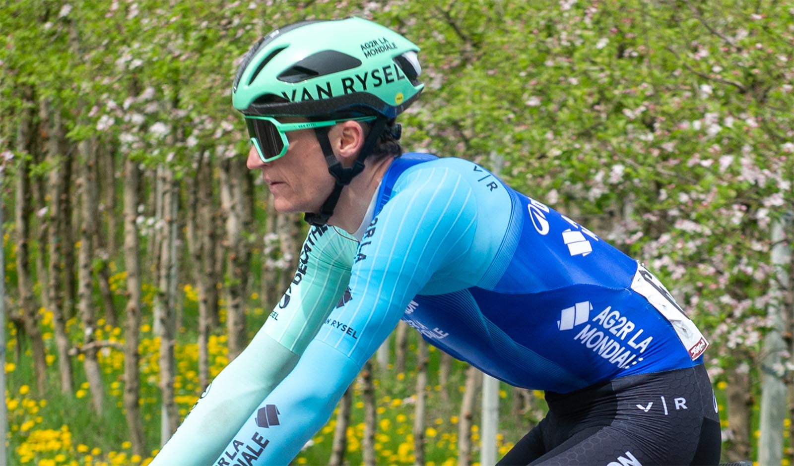 Felix Gall (Foto: Mario Stiehl)
